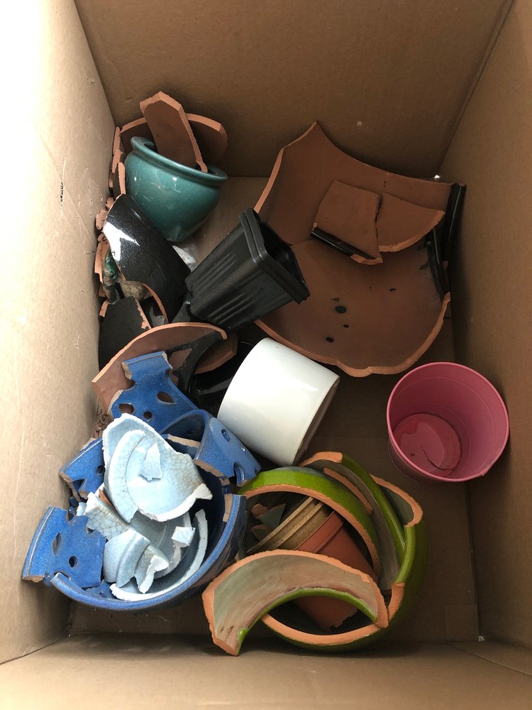 Evergreen State Movers