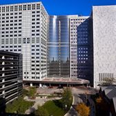Mayo Clinic In Rochester Minnesota Resources Az