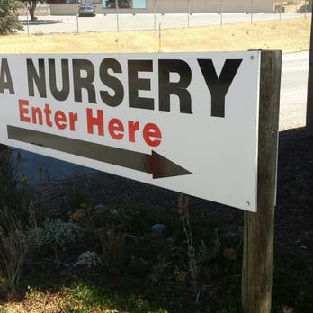 Lisa Arnold Nursery S 38 Photos 12 Reviews Nurseries Photo Of Lisa Arnold Nursery S Sunol Ca United States Lots
