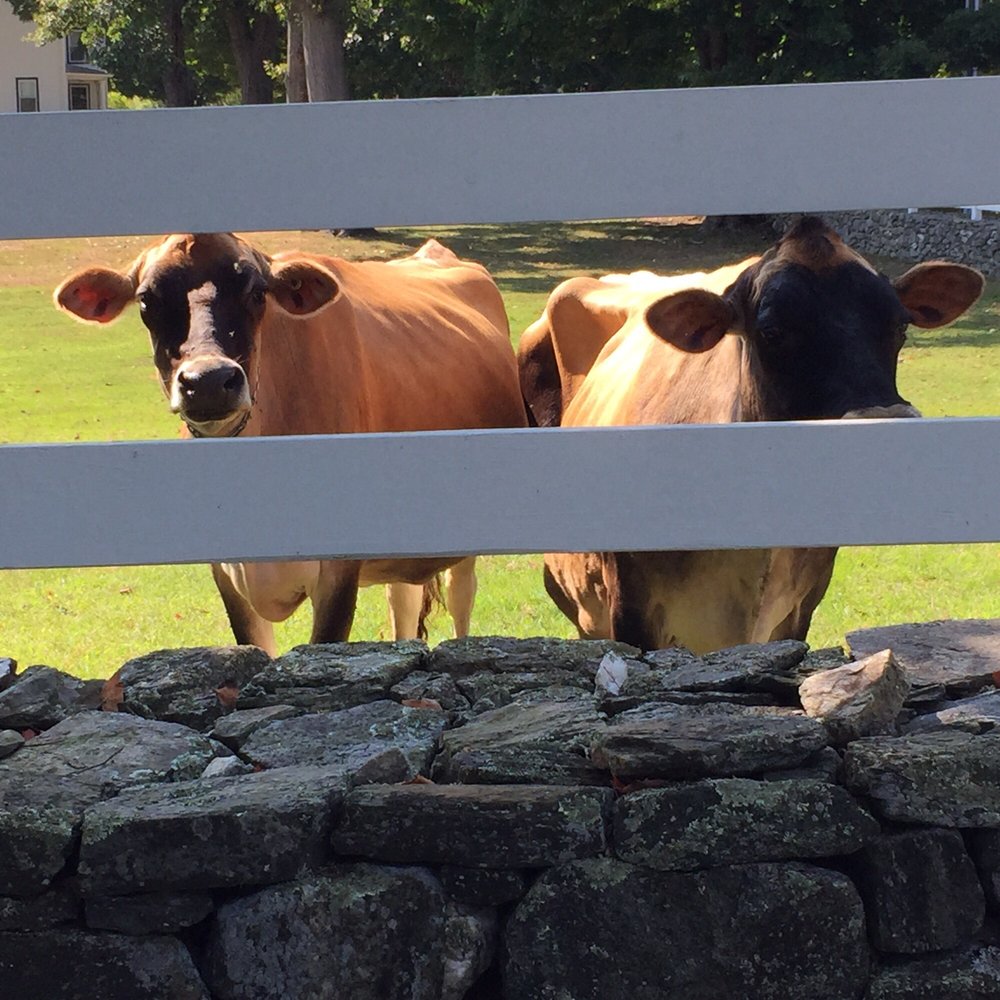 Arethusa Farm 17 Photos 552 S Plains Rd, Litchfield, CT Phone