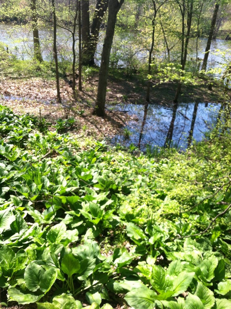 St. Patrick’s County Park Parks 50651 Laurel Rd, South Bend, IN