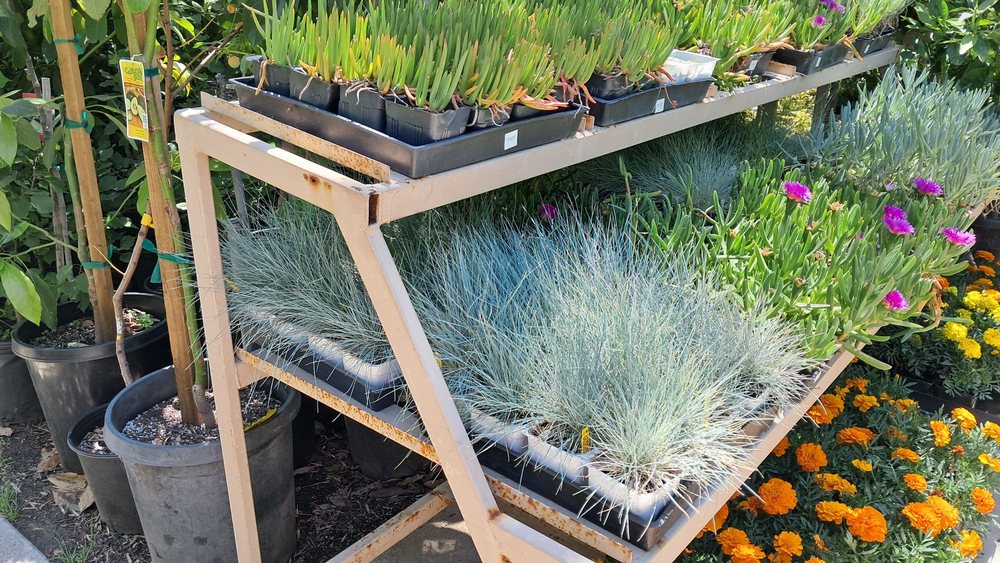 Topanga Nursery