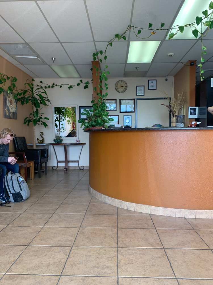 image of business A&N Dental