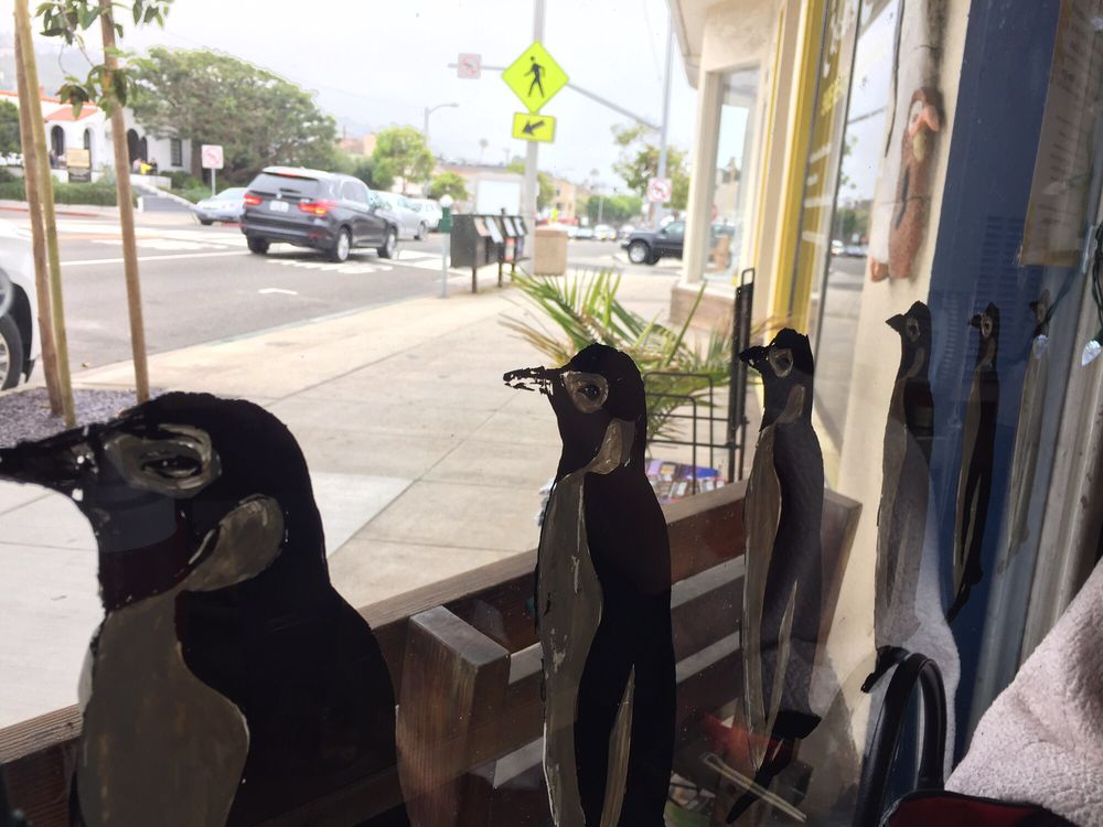 Penguin Cafe Laguna Beach Ca Penguin Cafe Laguna Beach Ca