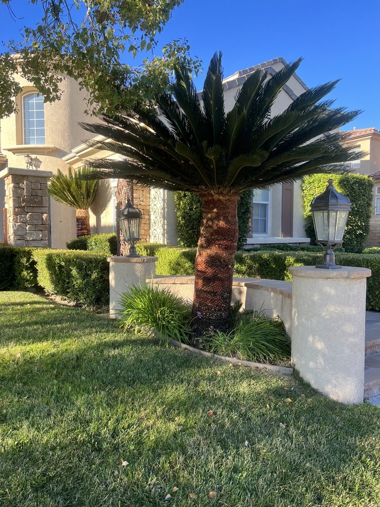 Daniel’s Landscaping and Tree Services
