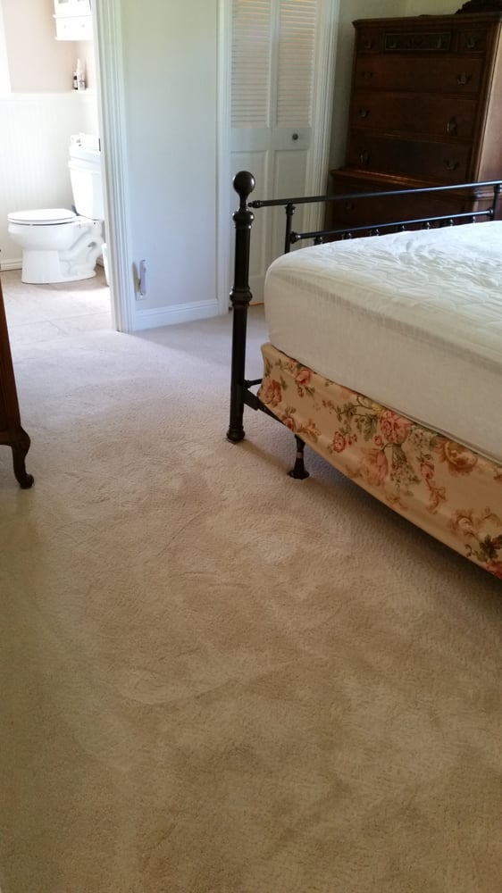 Daisy Fresh Carpet & Upholstery Cleaning