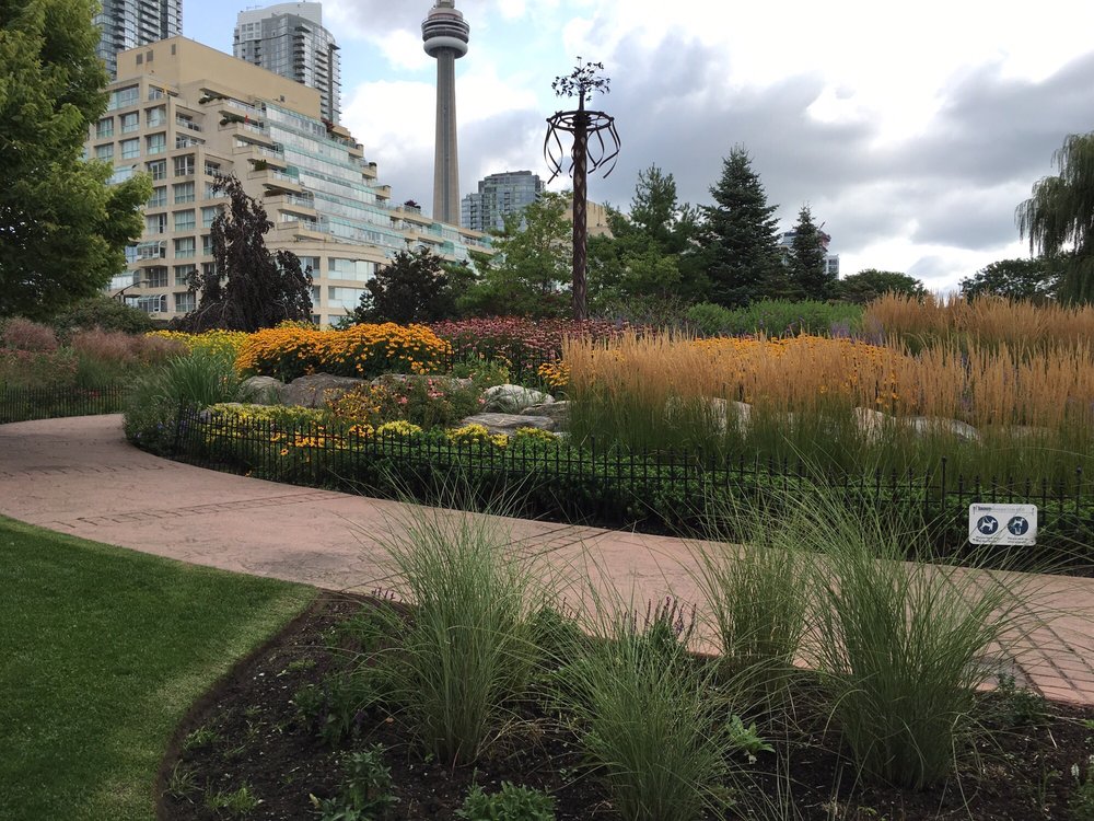 Visitor's Guide to the Toronto Music Garden in Toronto