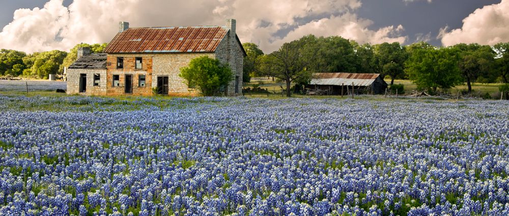 Eye Associates of South Texas