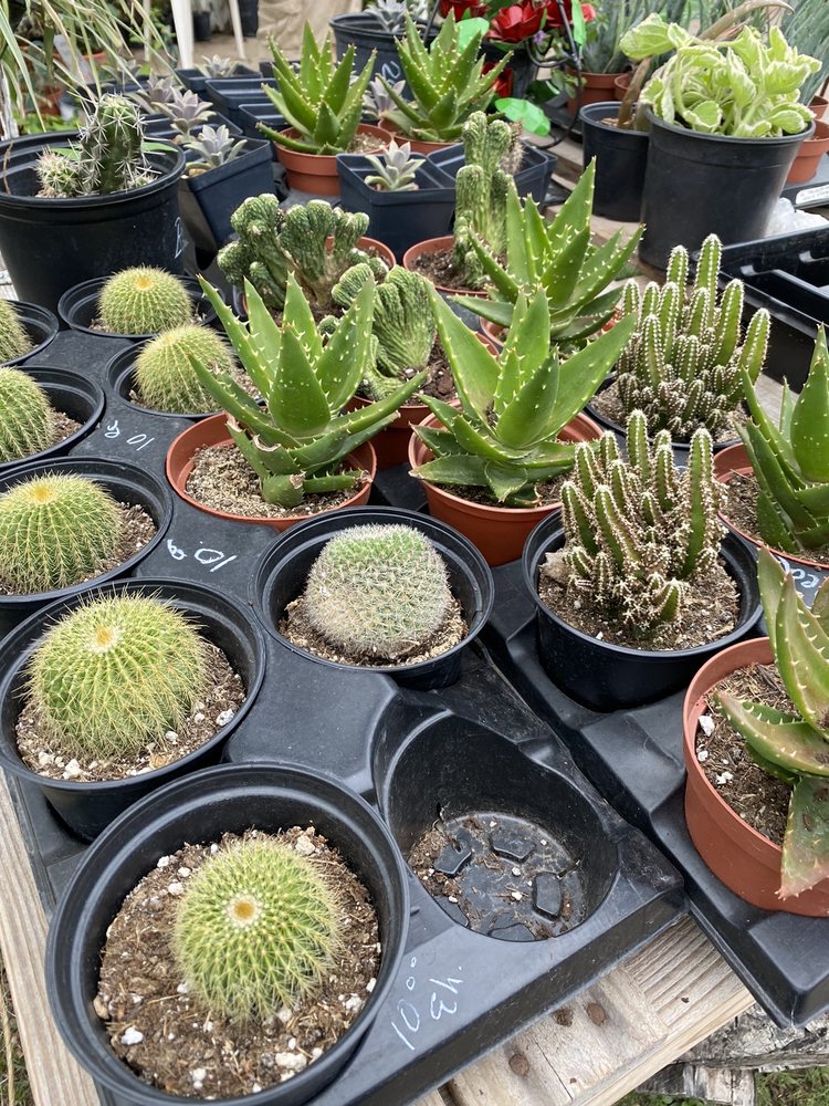 G & G Garden Center