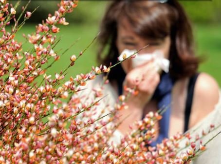 image of business Allergy & Asthma Associates