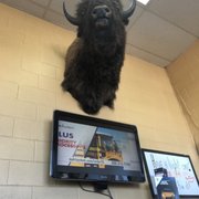 O Tires 3325 23rd Ave Greeley Co Phone Number Yelp Photo Of O Tires Greeley Co United States The Great Buffalo
