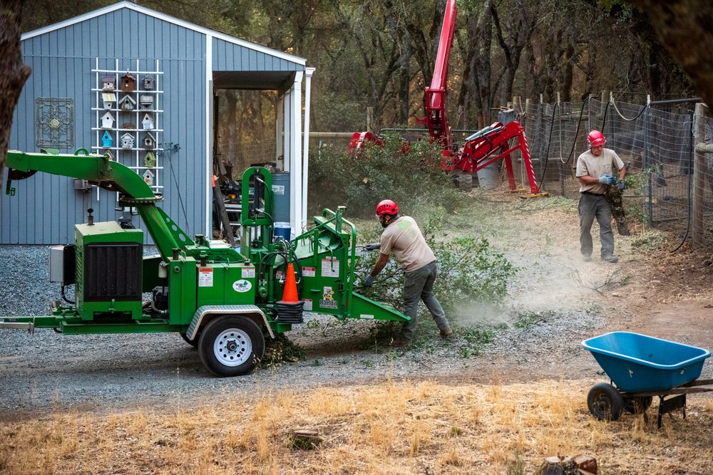 Capital Arborists Inc