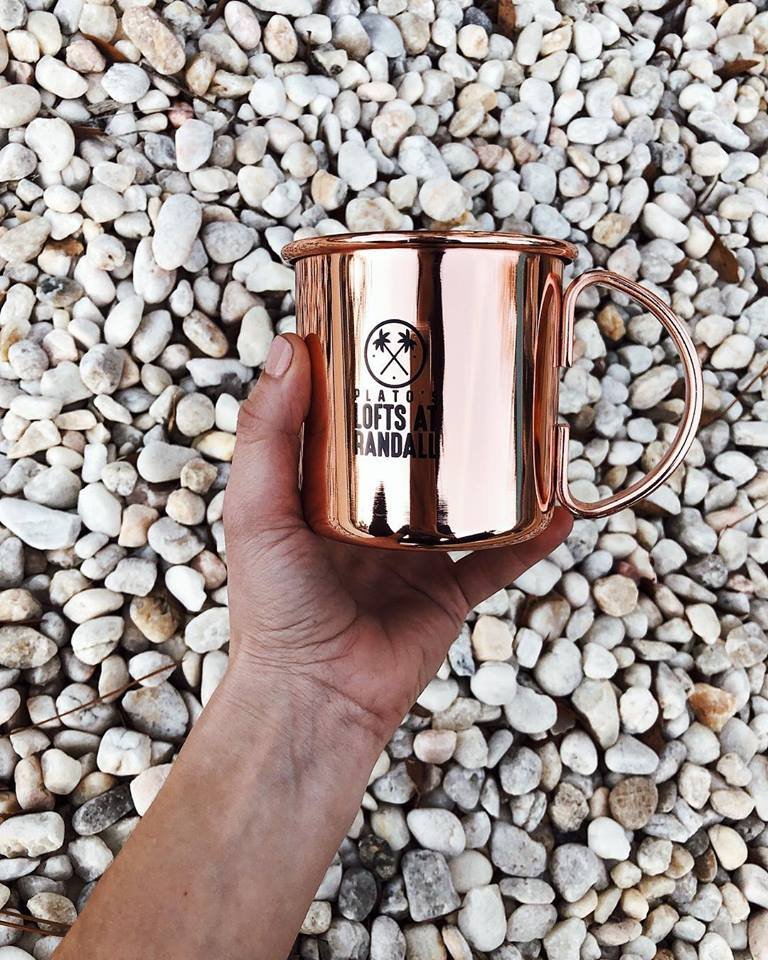 Plato's Lofts at Randall