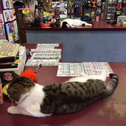 madison pet stores madison pet stores