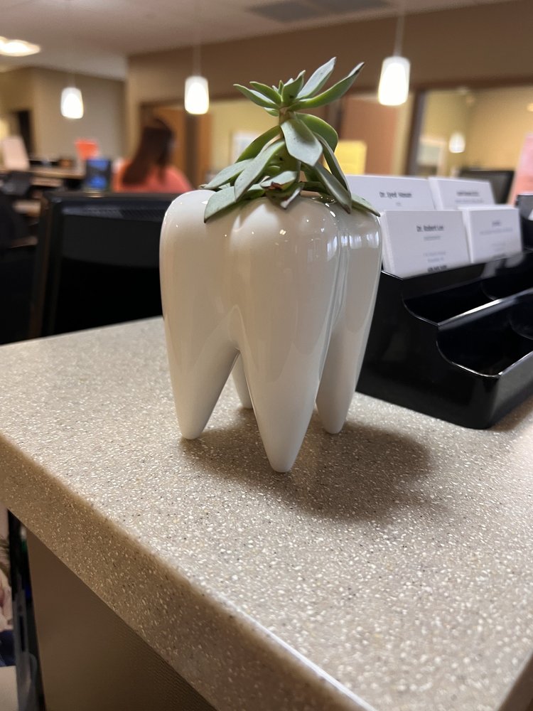 image of business First Choice Dental