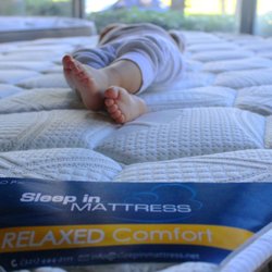 Sleep In Mattress 11 Photos Mattresses 230 Sunport Ln South Photo Of Sleep In Mattress Orlando Fl United States