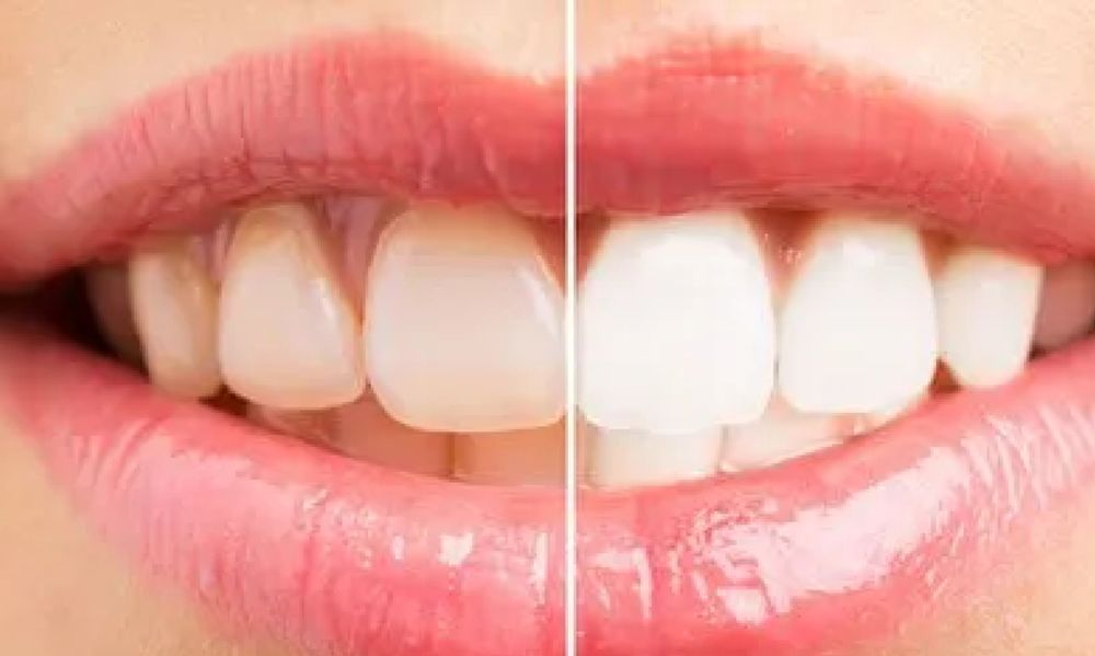 image of business Moreschini Dental Office