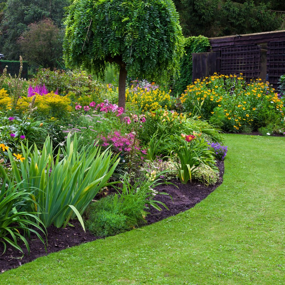 Gardeniascape
