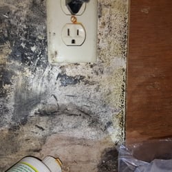Top 10 Best Mold Inspection In Los Angeles Ca Last Updated May Bye Mold