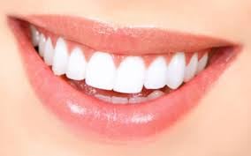 image of business Bell Plaza Dental Center
