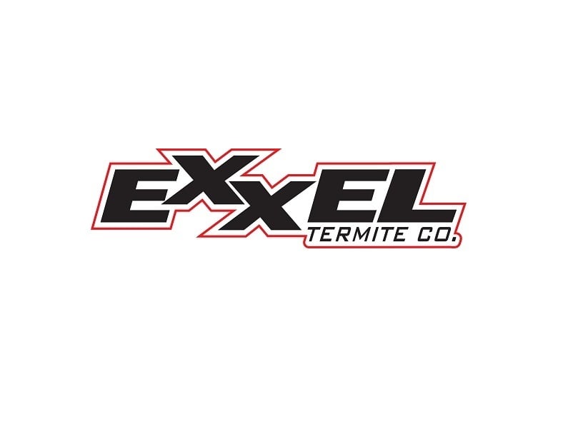 exxel termite 51 photos