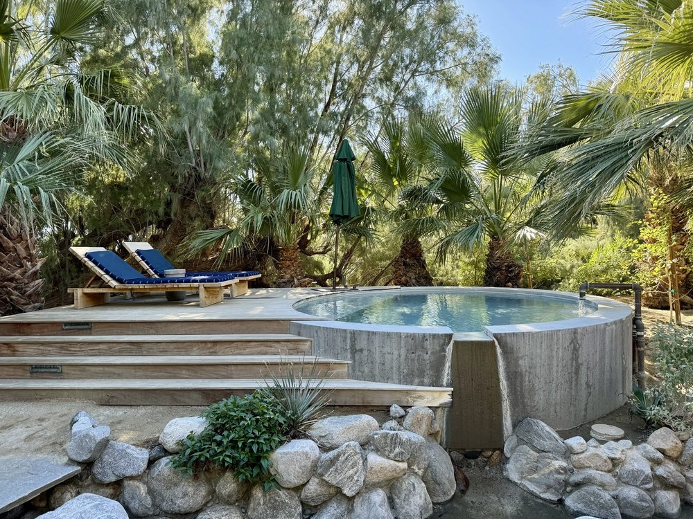Two Bunch Palms
