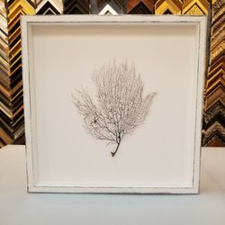 Best Framing 115 Photos 169 Reviews 1671 Placentia Photo Of Best Framing Costa Mesa Ca United States