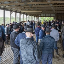 Hurley Auction Company Auction Houses 2800 Buchanan Trl E