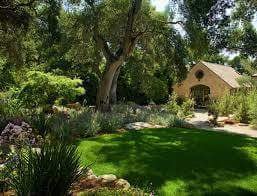 M&M Yard Service & Landscape