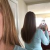 Ms