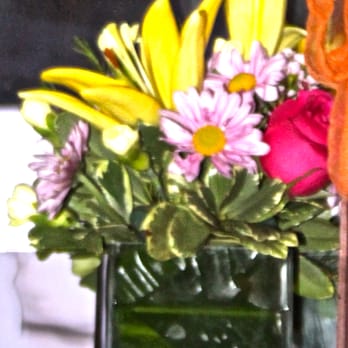 Navarre Beach Flowers 14 Photos Florists 8486 Pkwy Photo Of Navarre Beach Flowers Fl United States