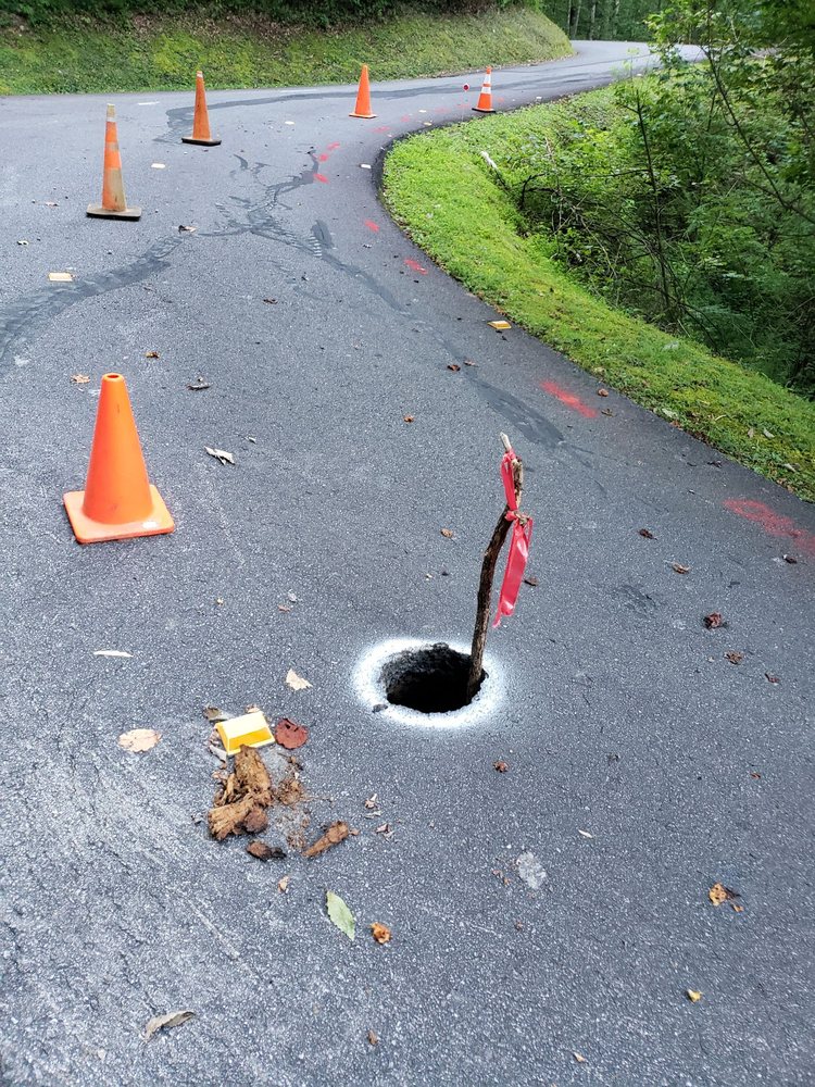 image of business Timberwood Development Corporation