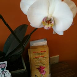 Beauty salon essex junction consider, that Beauty salon essex junction amusing message