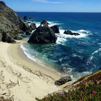 Sonoma Coast State Beach Bodega Head 393 Photos 101 Reviews Photo Of Sonoma Coast State Beach Bodega Head Bay Ca United