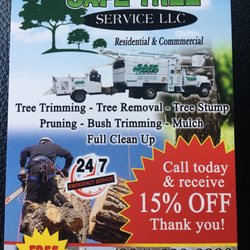Landscape Architects In Elgin Yelp Safe Tree Service
