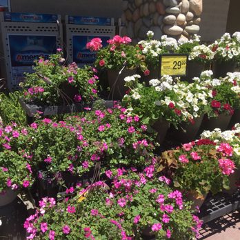 Safeway - 18 Photos & 22 Reviews - Drugstores - 40 County Rd 804