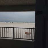 Carousel Inn On The Beach 14 Photos 26 Reviews Hotels 6230 Photo Of Carousel Inn On The Beach Fort Myers Fl United States