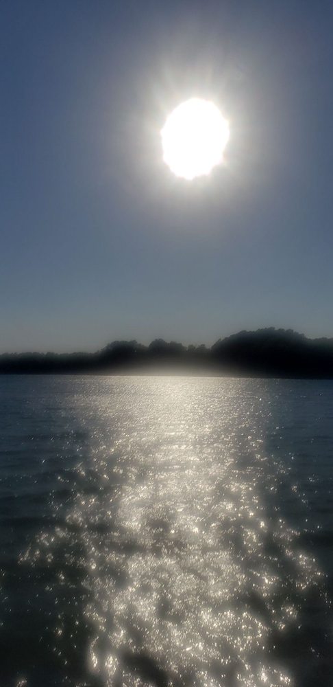 Black Hill Regional Park
