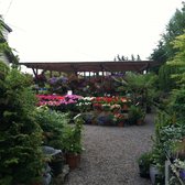 Loen Nursery Garden Center New 13 Photos 17 Reviews