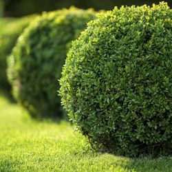 Best Free Mulch In Richmond Va Last Updated December 2018 Yelp Category