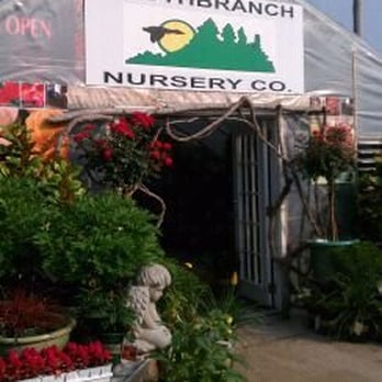 South Branch Nursery Closed Home Garden 230 Franklin Rd Photo Of South Branch Nursery Franklin Tn United States