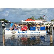 Marathon Snorkeling Tours 31 Photos 33 Reviews Spirit Snorkeling
