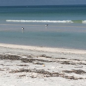 P A Grille Beach Florida The Best Beaches In World P A Grille Beach 275 Photos 106 Reviews Beaches St Pete