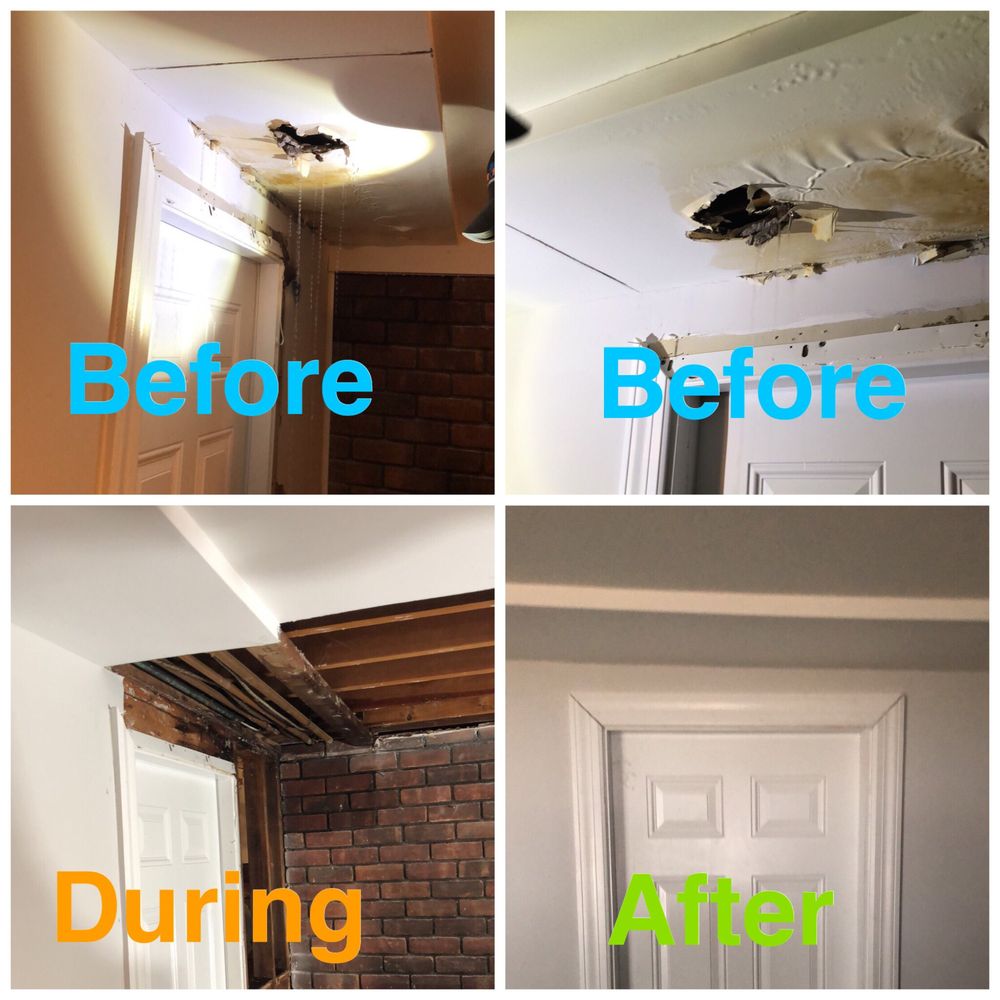 Restoration 1 of Loudoun