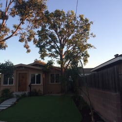 Photo of Bens Palm & Tree Service - Manhattan Beach, CA, United States. Finally touch to the remodel in lomita