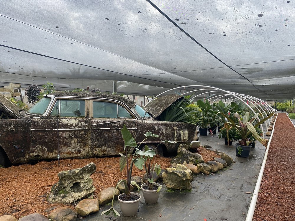 The Green House Nursery