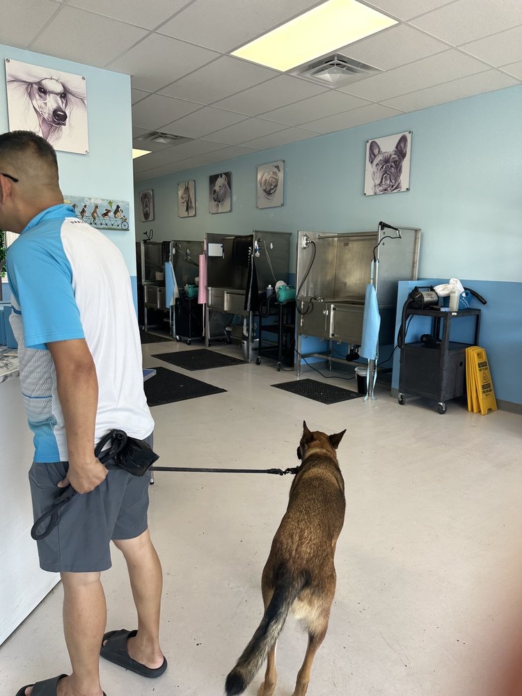 Dog Lovers Grooming & Self-Serve Dog Wash