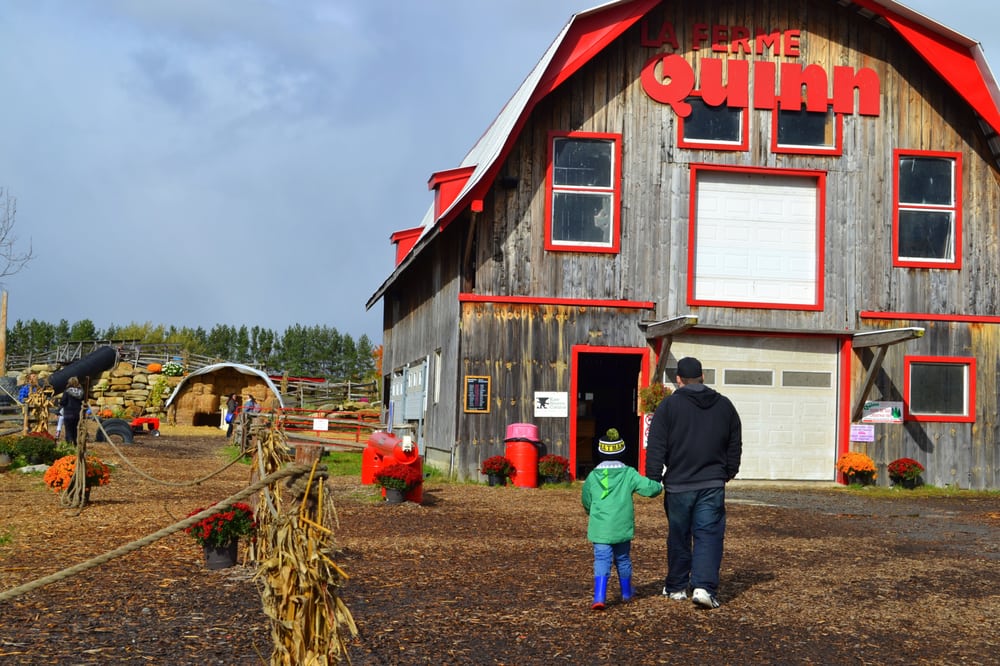 La Ferme Quinn 60 Photos & 20 Reviews Farms 2495 Boulevard Perrot