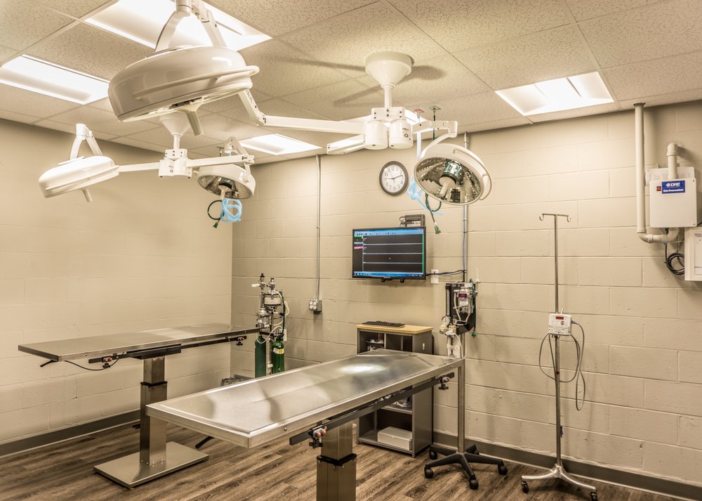 Clark Veterinary Hospital 29 Photos & 19 Reviews Veterinarians 40