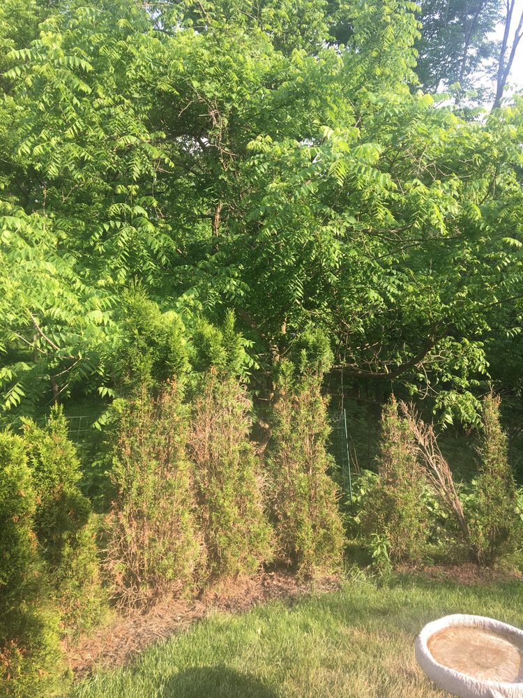 Wojton's Nursery